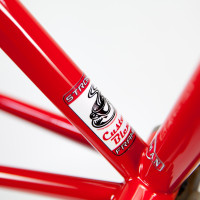 Classic Custom Blend steel road frame with Enve fork painted to match.