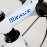 Titanium gravel bike with Sram eTap, Reynolds Attack and Black Magic paint.