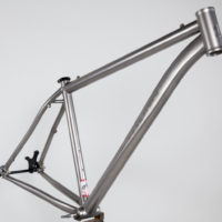 Custom Blend titanium 29er single speed MTB. Can also set up for rear derailleur.