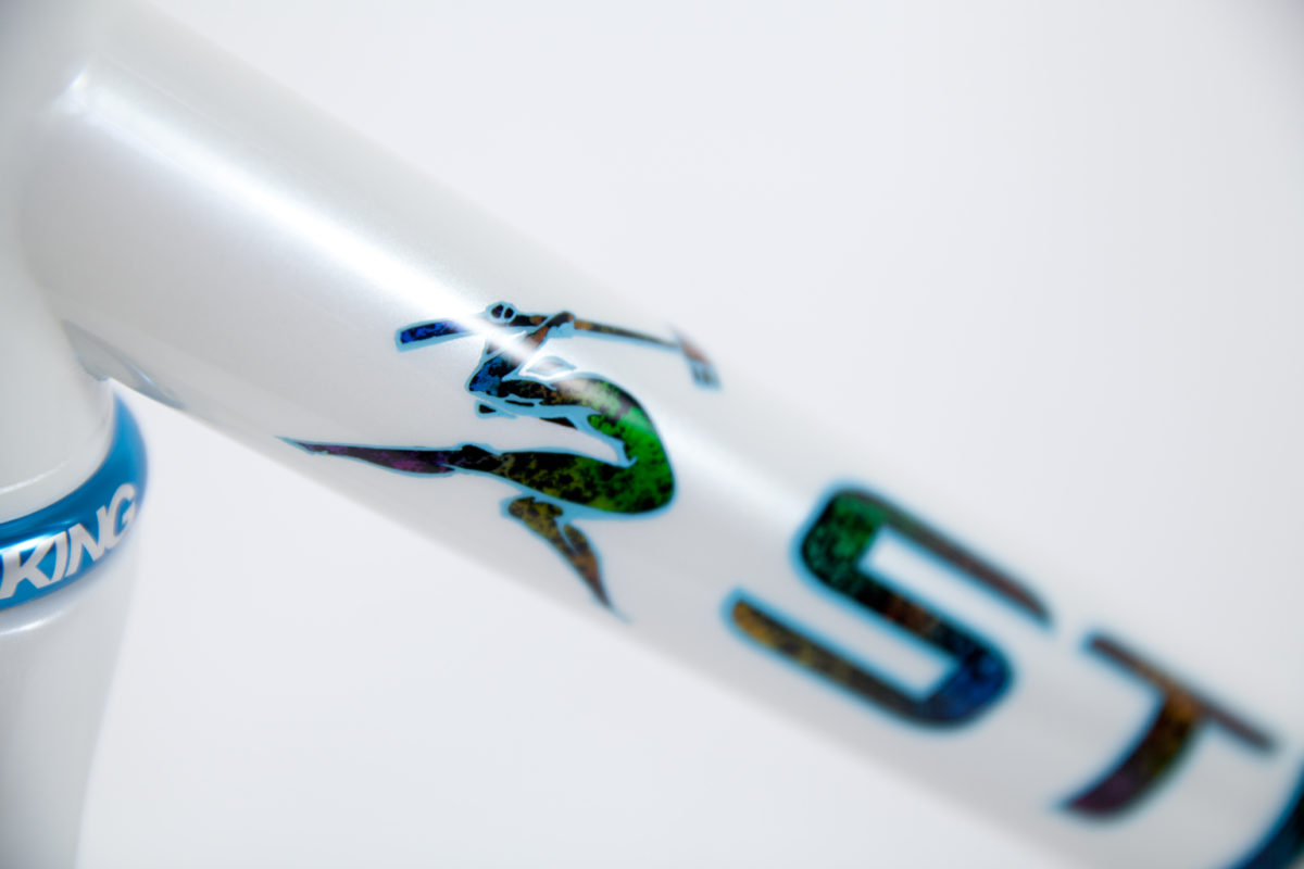 Gloss or Matte Finishes Rinse your frame with water after you ride if you use sunscreen. Rinse your frame with water after you ride if you have been sweating. Dry your frame after rinsing. If you want to help prevent fingerprints and surface scratches you can apply wax. Gloss Finish – Paste wax (Turtle Wax) […]