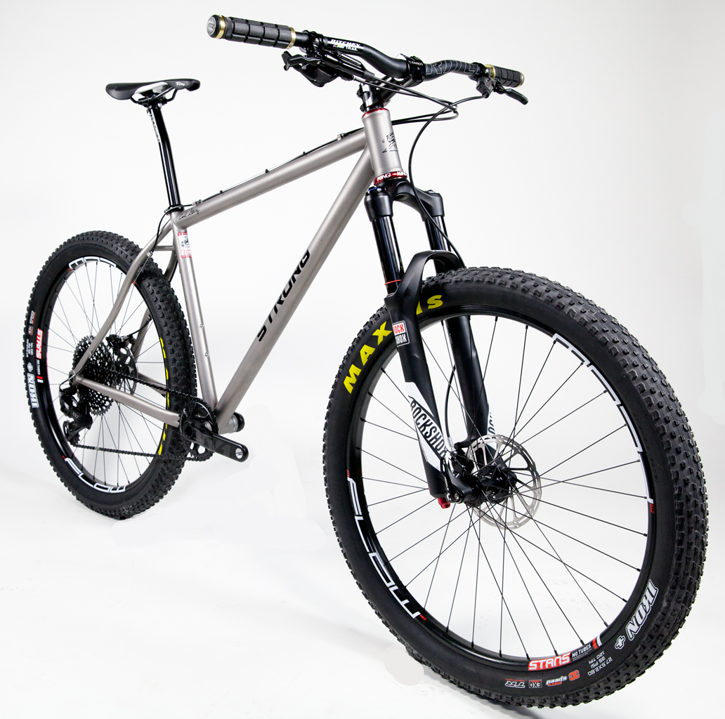 Strong Frames & Titanium 29er Plus Rohloff Belt-Drive - Anthony A